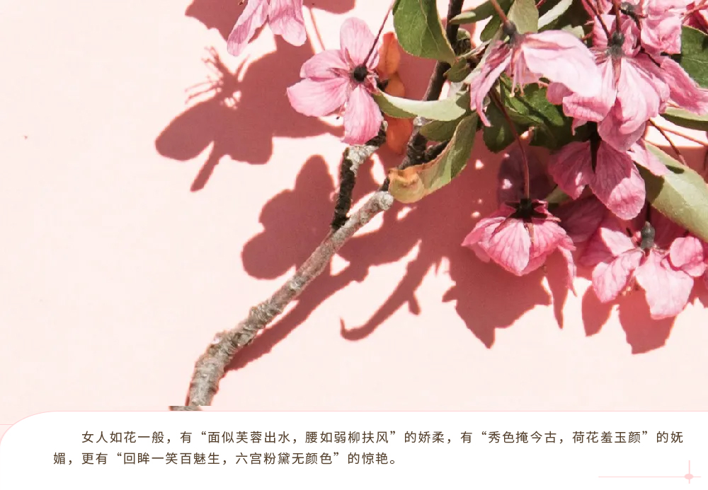 【MAX麥斯】三八女神節“花藝大賽”精彩紛呈