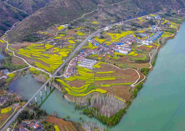 【MAX】&漢中市某市政單位