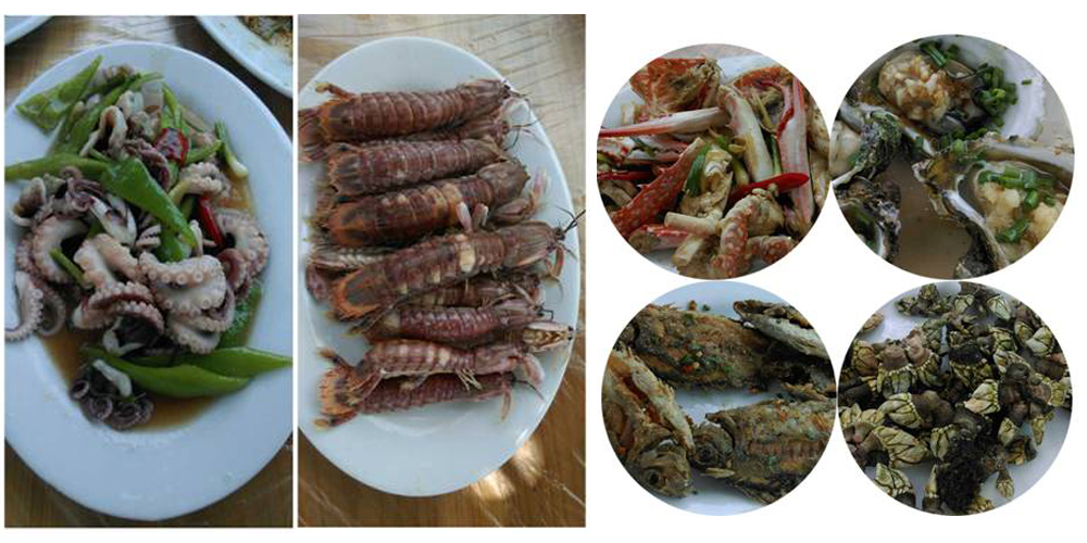 2014年麥斯紅海灣夏日風情之旅 2014年麥斯紅海灣夏日風情之旅