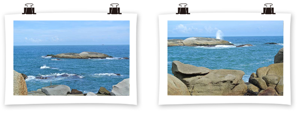 2014年麥斯紅海灣夏日風情之旅 2014年麥斯紅海灣夏日風情之旅