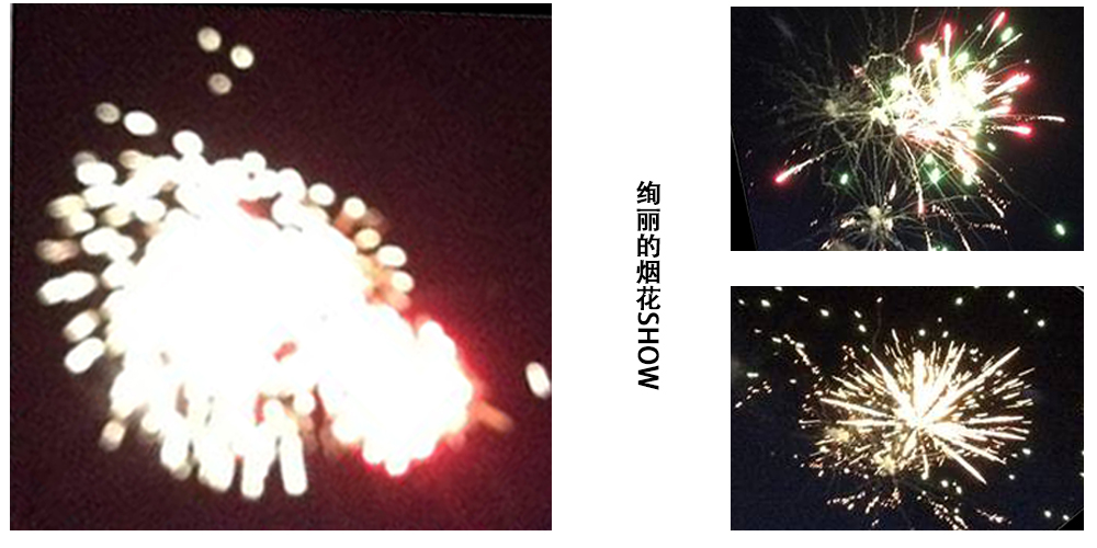 2014年麥斯紅海灣夏日風情之旅 2014年麥斯紅海灣夏日風情之旅