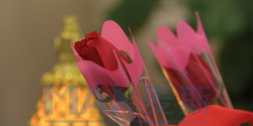 嗨翻了！麥斯環(huán)保三八女神節(jié)慶祝活動現(xiàn)場直播